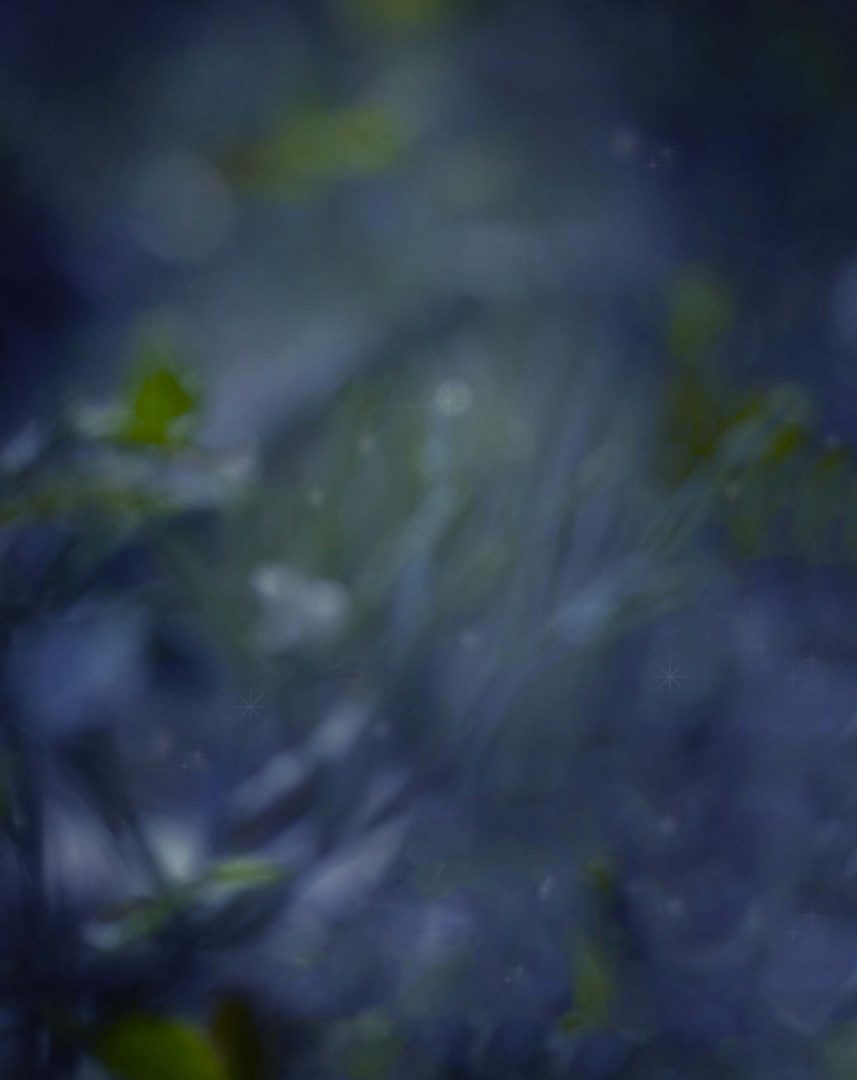 Beautiful Dark Blur Texture Blur Background Free Stock