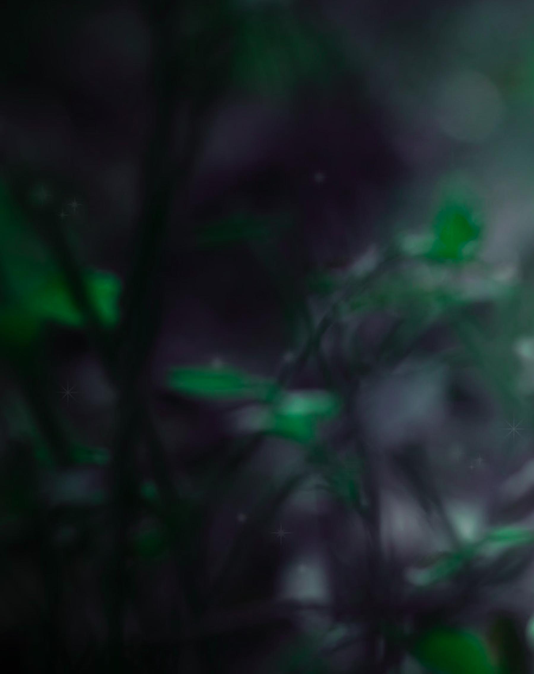Dark Green Nature Blur Background Free Stock [ Download ]