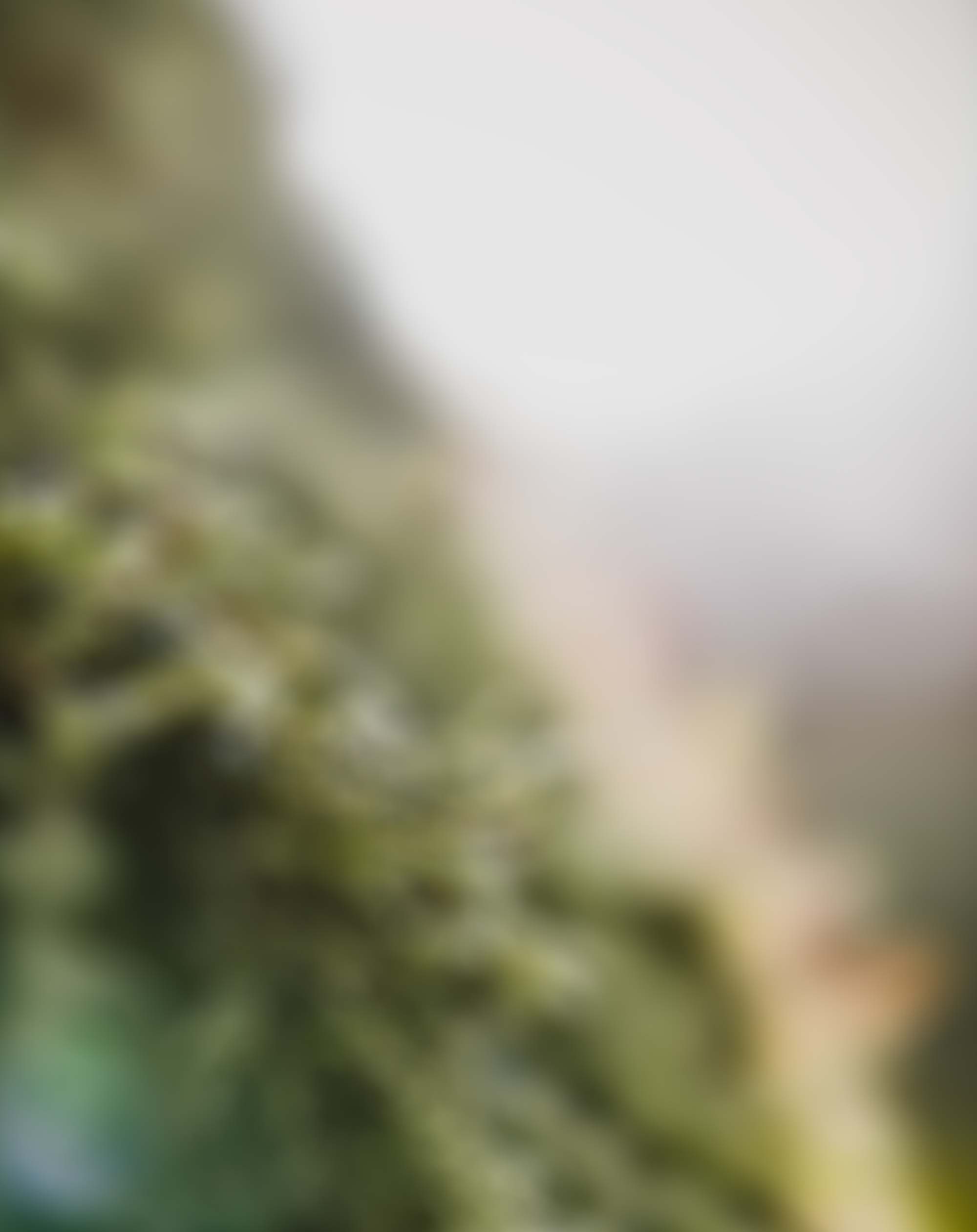 New Awesome Blur Background Free Stock Image [ Download ]