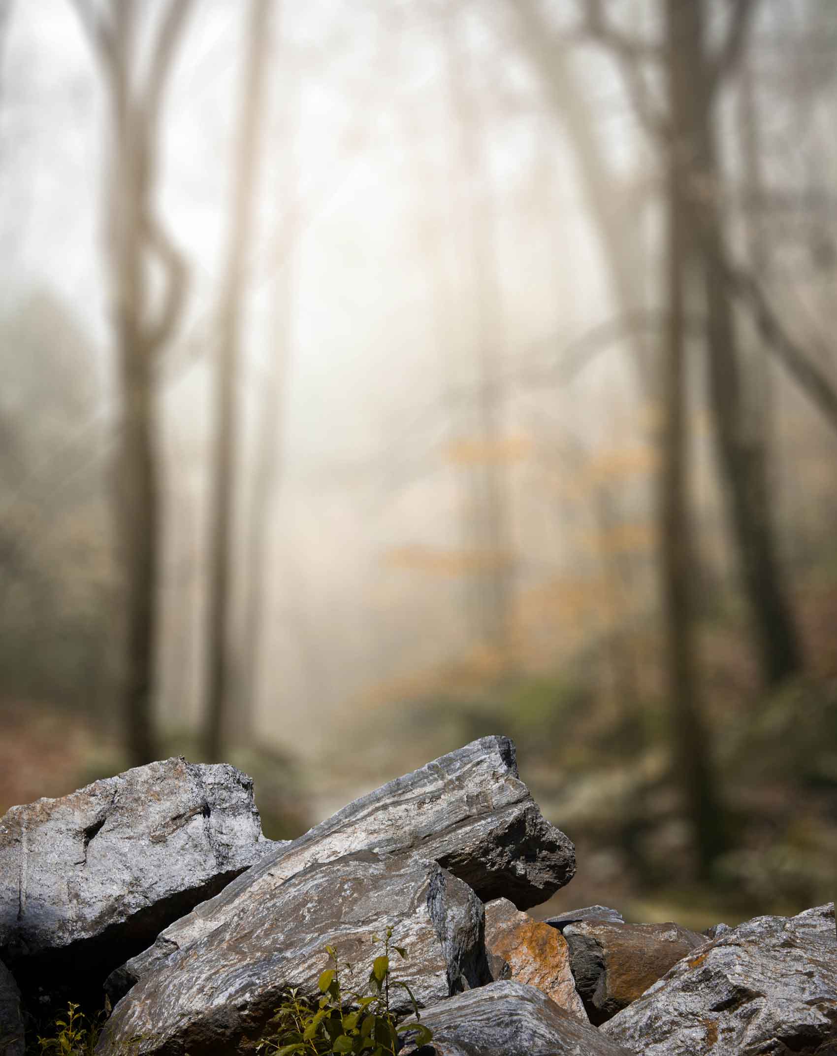 Stone Blur Background Free Stock Image [ Download ]