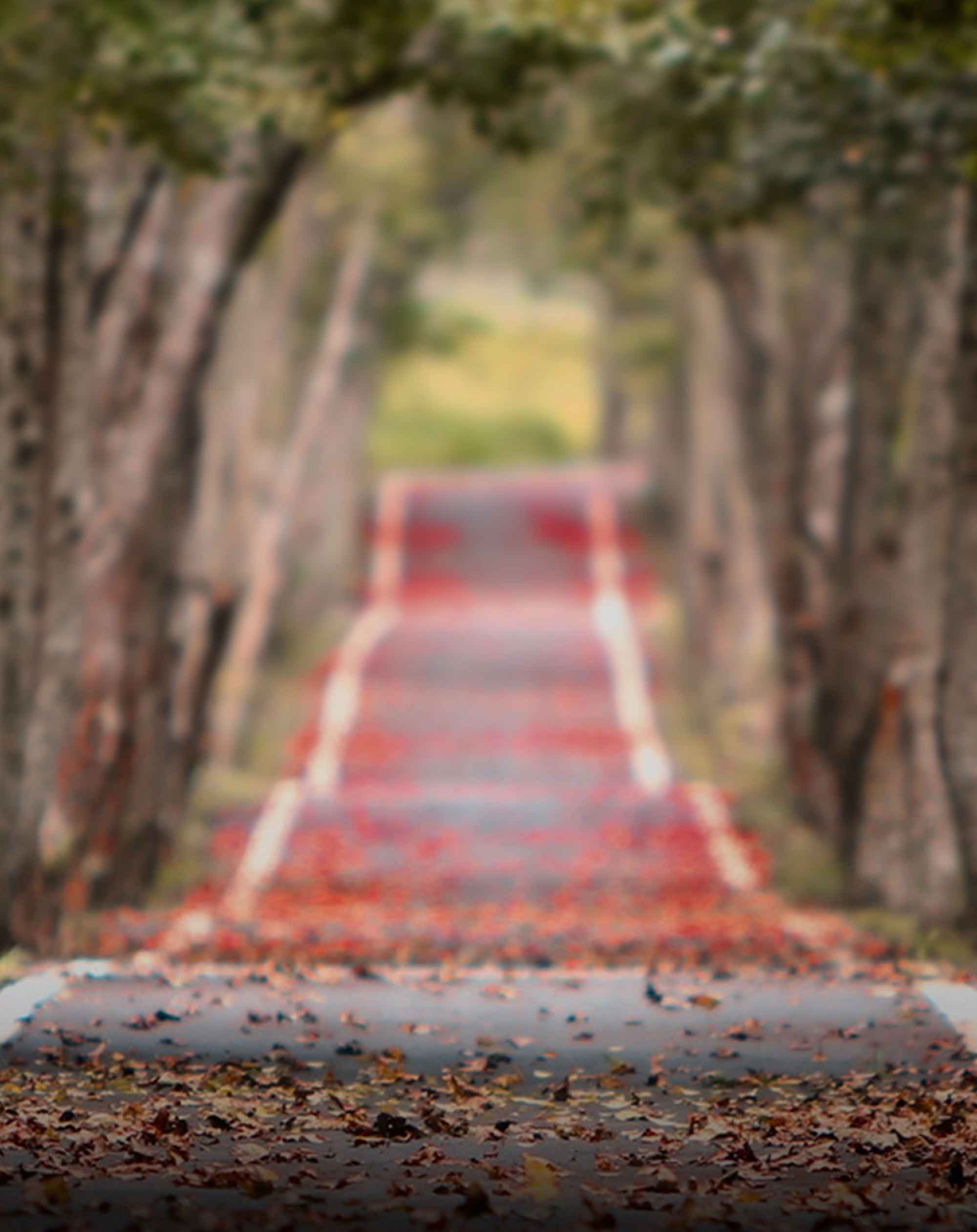 Full Blur Nature Road Background Free Stock Photo [ Download ]