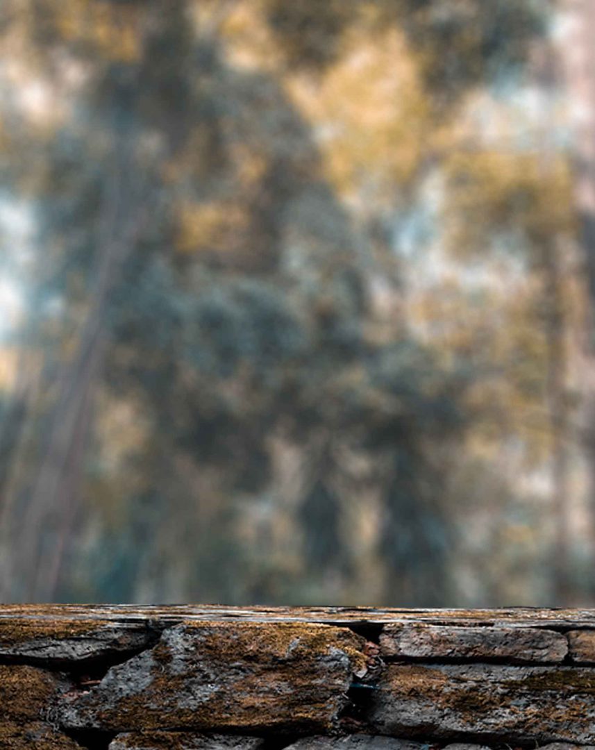 Blur Background With Wall Free Stock Image [ Download ]
