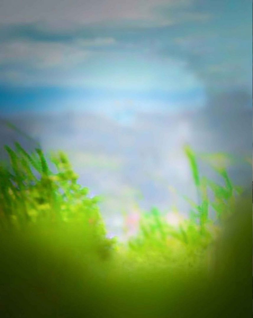 New Blur Nature Background Free Stock Photos [ Download ]