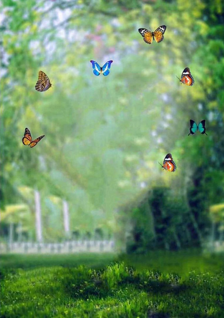 Beautiful Nature Blur PicsArt Background Free Stock Image