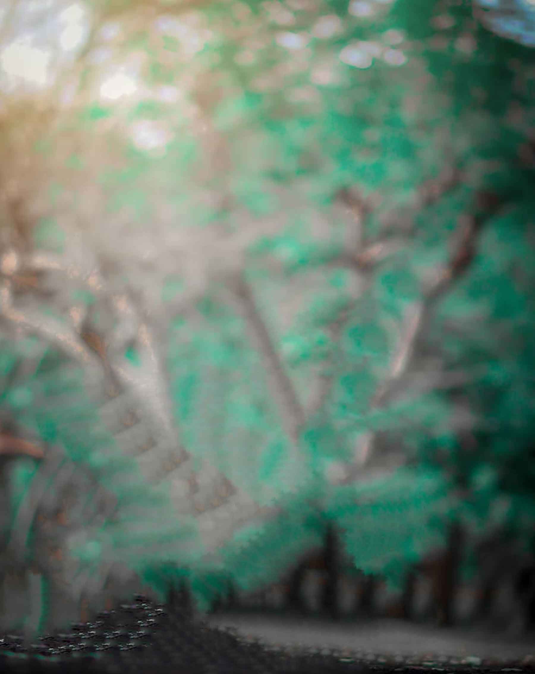 Hình nền Picsart CB màu xanh lá cây đậm: Picsart CB là một công cụ chỉnh sửa ảnh cực phổ biến hiện nay, và màu xanh lá cây toát lên sự tươi trẻ, tràn đầy sức sống. Kết hợp với hình nền Picsart CB màu xanh lá cây đậm, bạn sẽ có được một bức ảnh đủ mạnh mẽ để chiếm lĩnh các trang mạng xã hội.