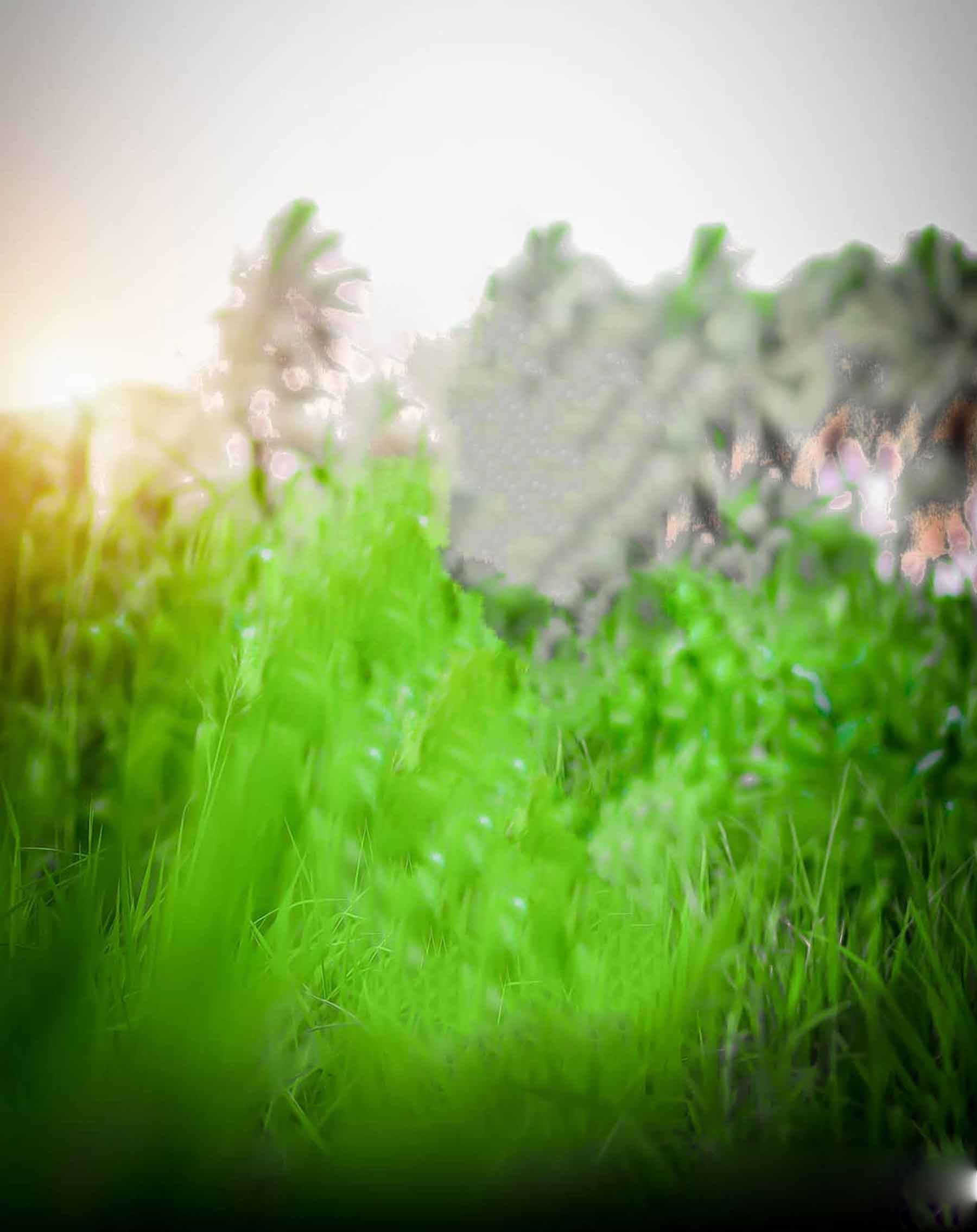 Best Green Blur CB Background Free Stock [ Download ]