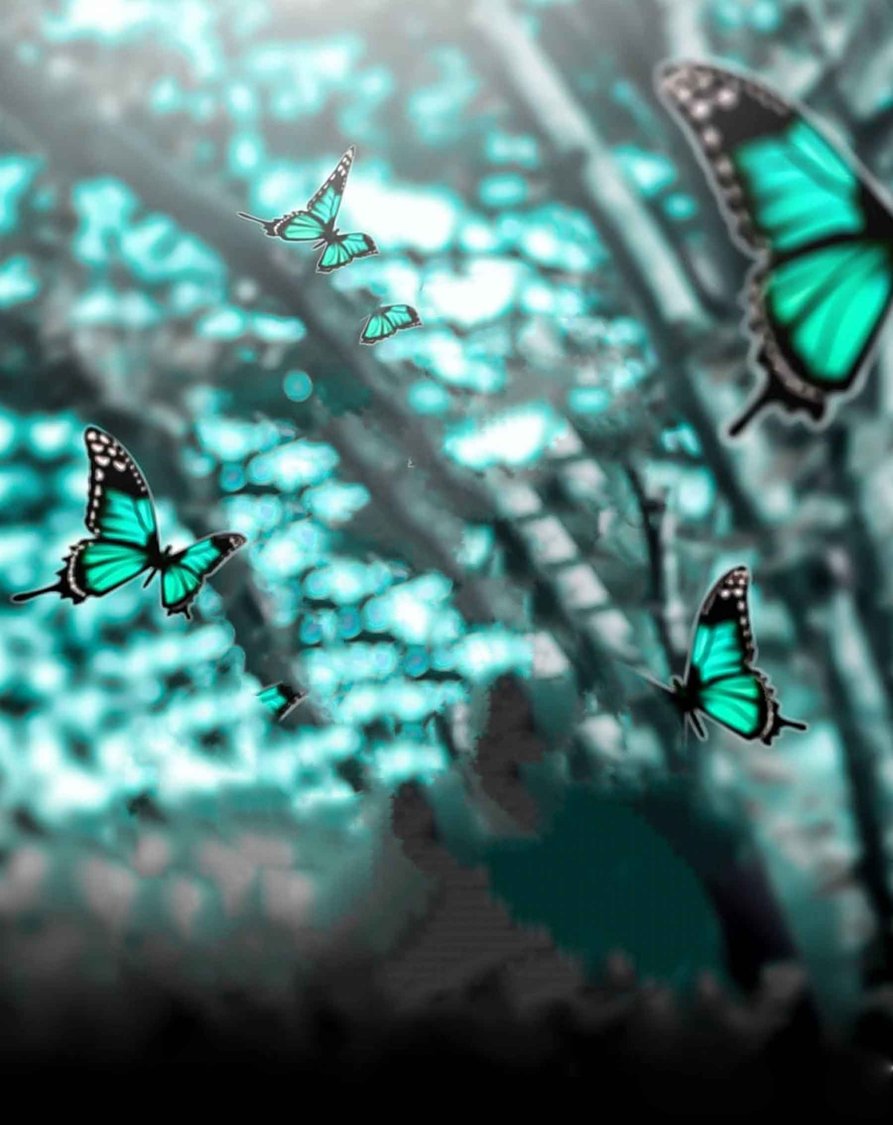 Beautiful Butterfly Background Free Stock Image [ Download ]