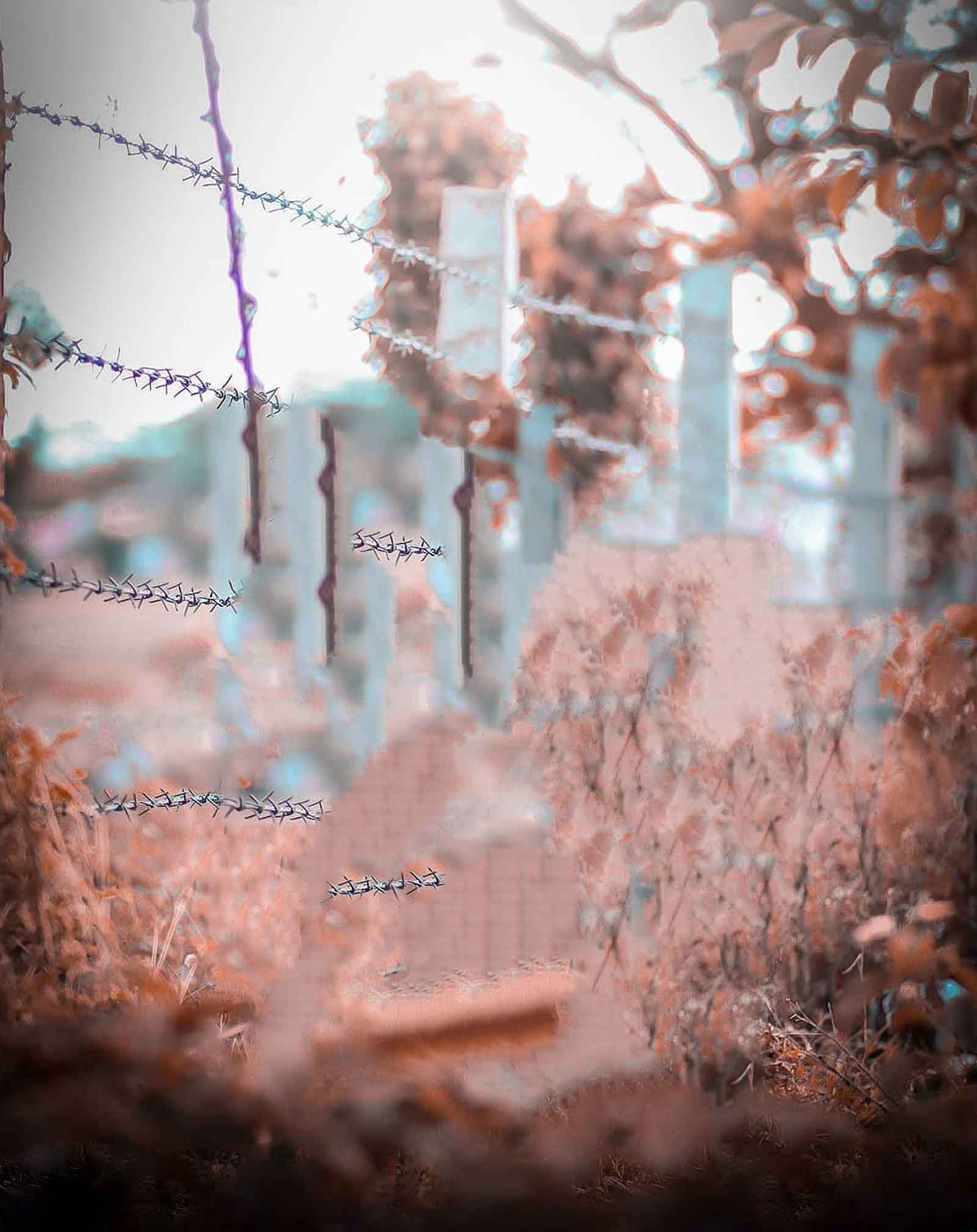 New Orange Tone Blur CB Background Free Stock Photo