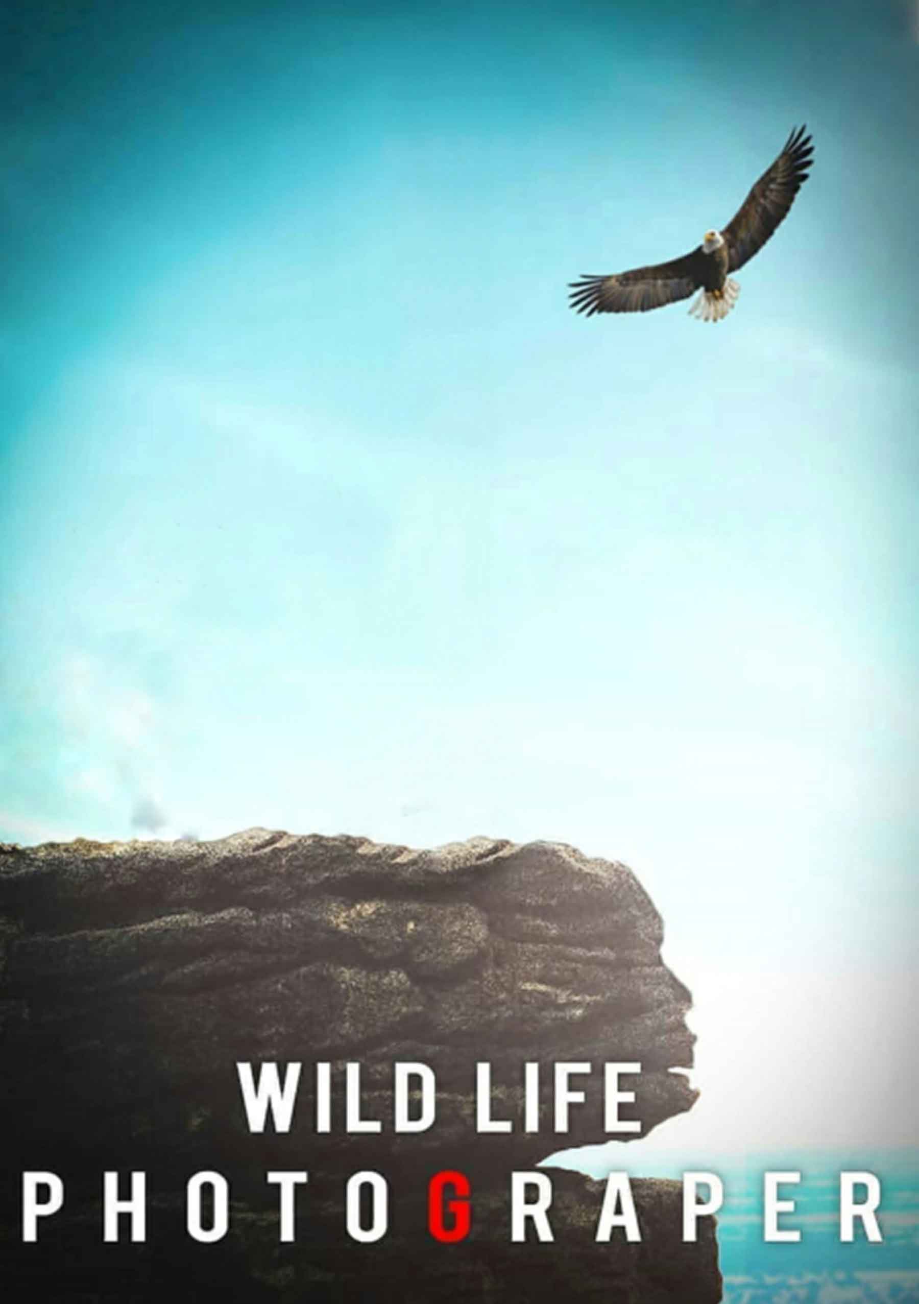 Wild Life New Background Free Stock Image [ Download ]