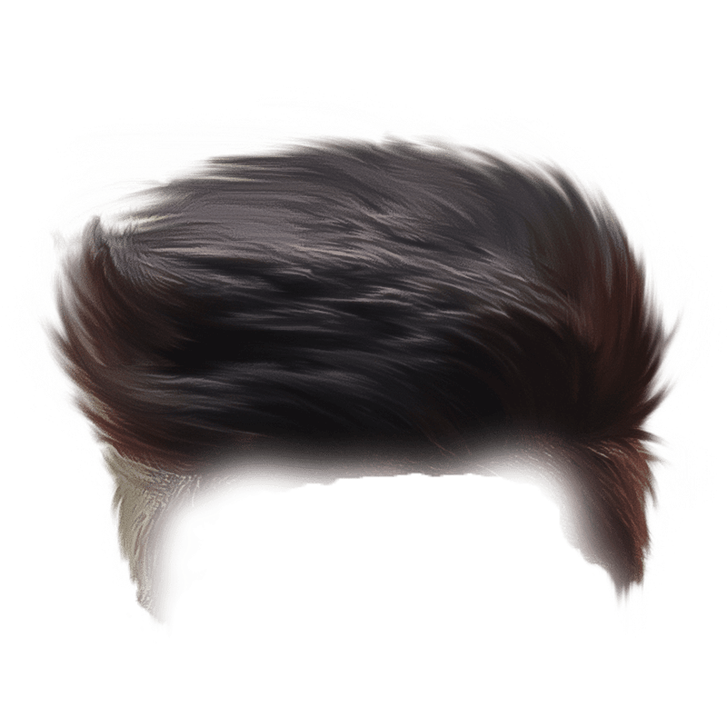 Share more than 77 download hair png best