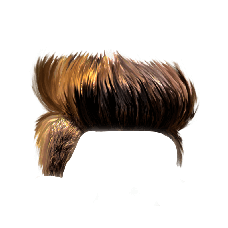 The Brown Bowl Hair PNG Shiny Hairstyle Image
