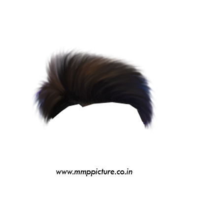 Curve Soft Hair PNG Transparent Image For Editing