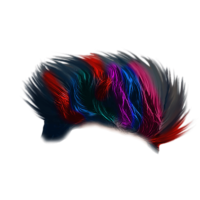 Colorful CB Hair PNG Free Transparent Hairstyle [ Download ]
