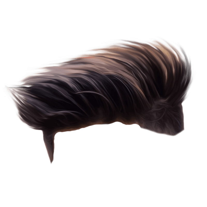 Stylish Brown Hair PNG Transparent Hairstyle Image