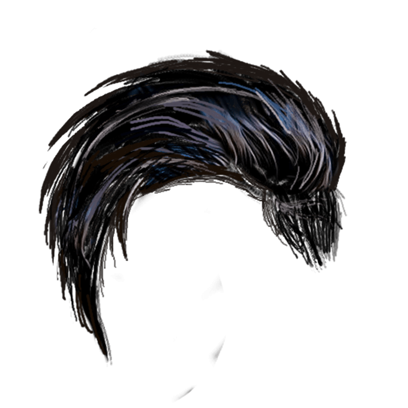 Download Hair PNG Image for Free