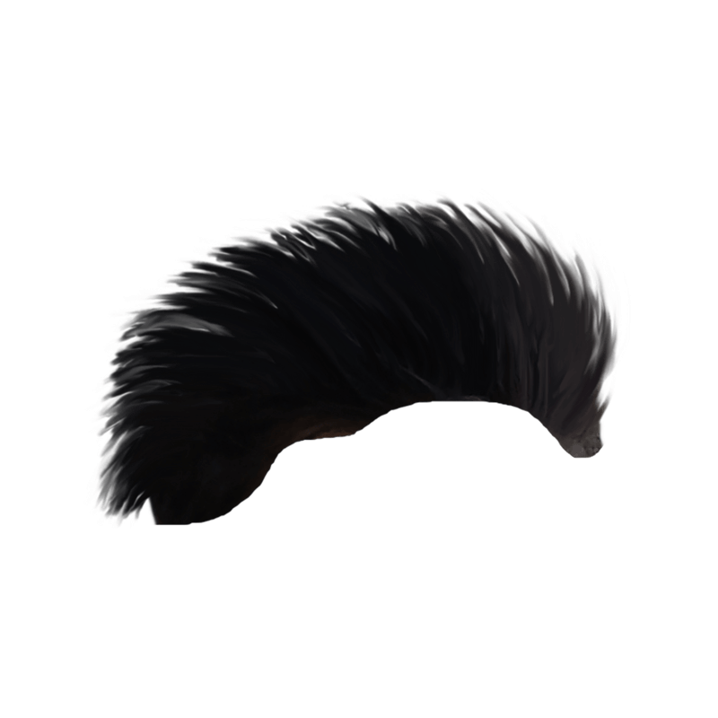 Round Black Old Style Hair PNG Free Stock Image