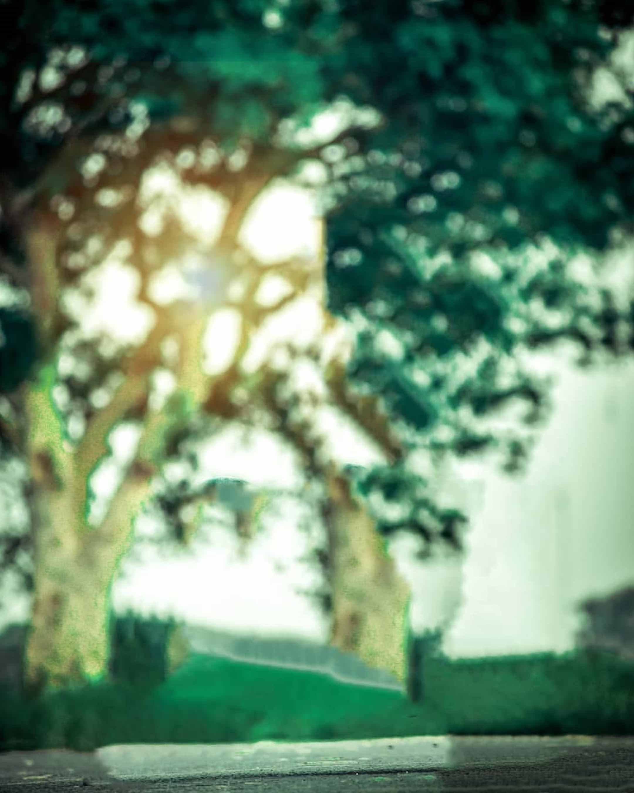 Nền màu xanh lục tối Snapseed miễn phí: Tìm kiếm nguồn ảnh nền miễn phí với màu xanh lục tối của Snapseed? Hãy truy cập ngay vào bức ảnh nền màu xanh lục tối này để có thể tạo ra những sản phẩm tuyệt vời của riêng mình. Màu xanh lục tối này rất phù hợp cho các bức ảnh trang trọng và đầy cảm xúc.