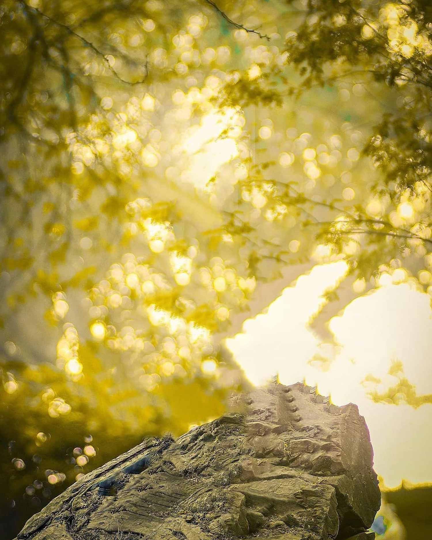 Yellow Nature Bokeh Stone Blur Snapseed Background Stock