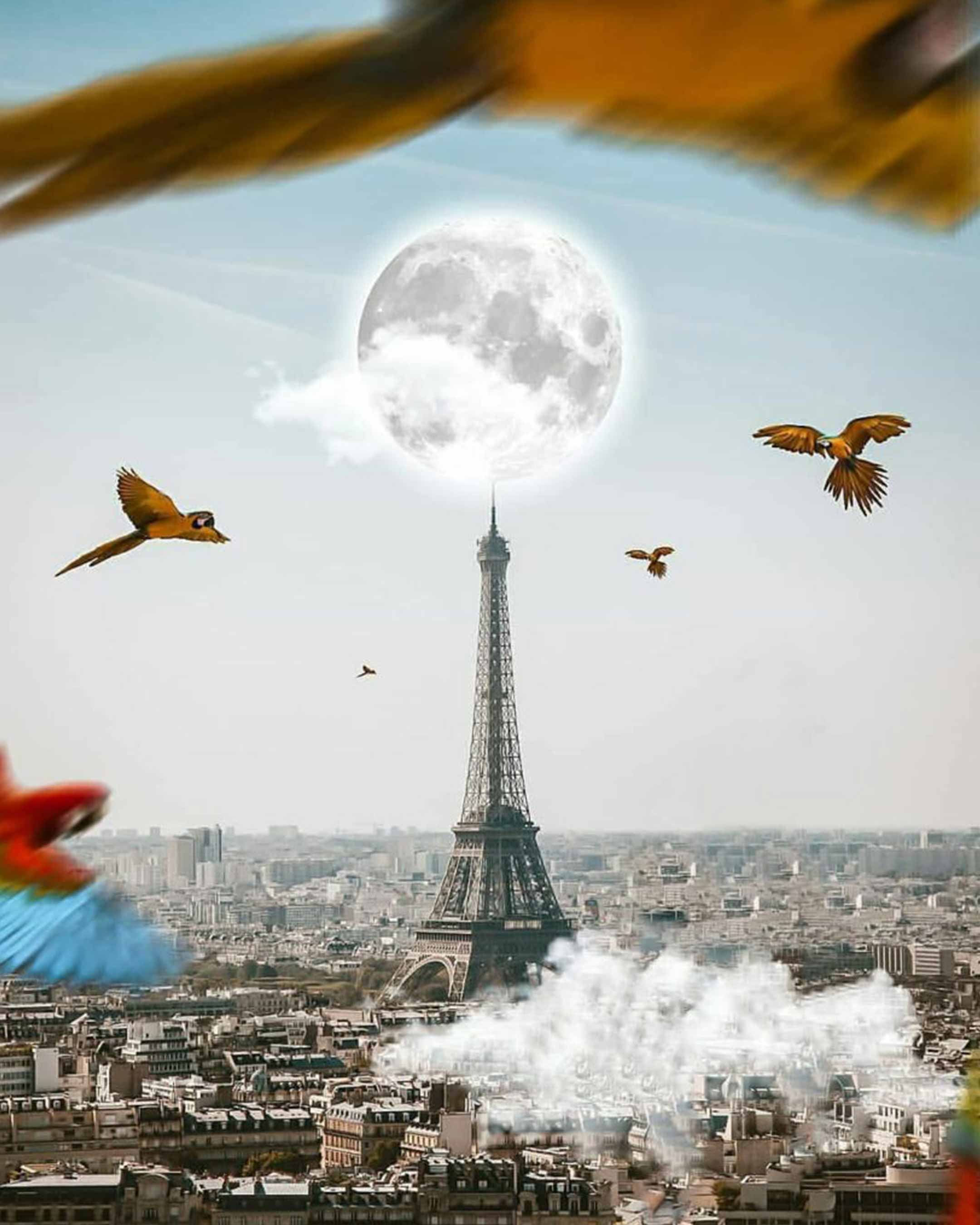 Eiffel Tower Photo Editing Background Free Stock Image