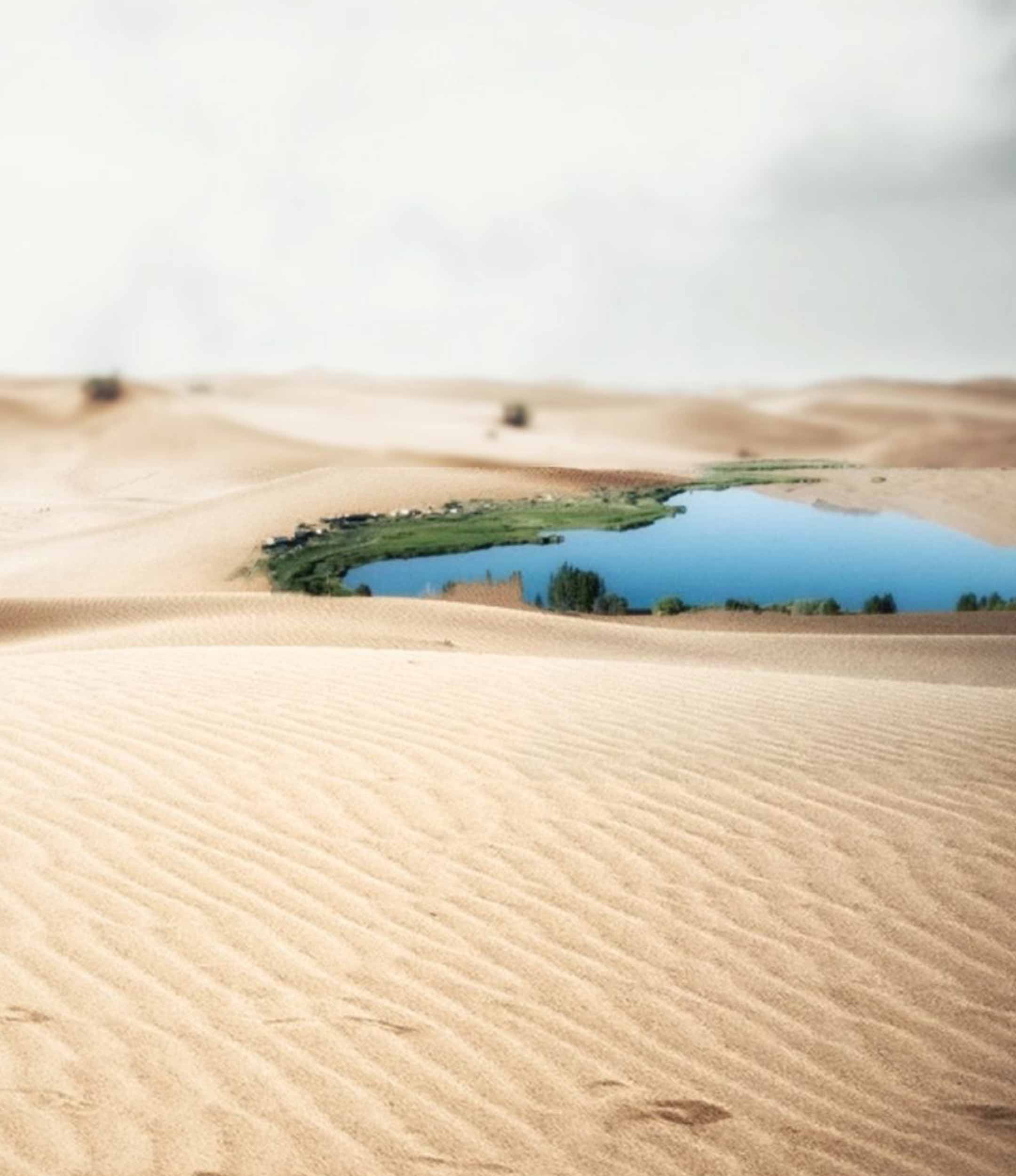 Pond Between Desert Photo Editing Background Free Stock Image