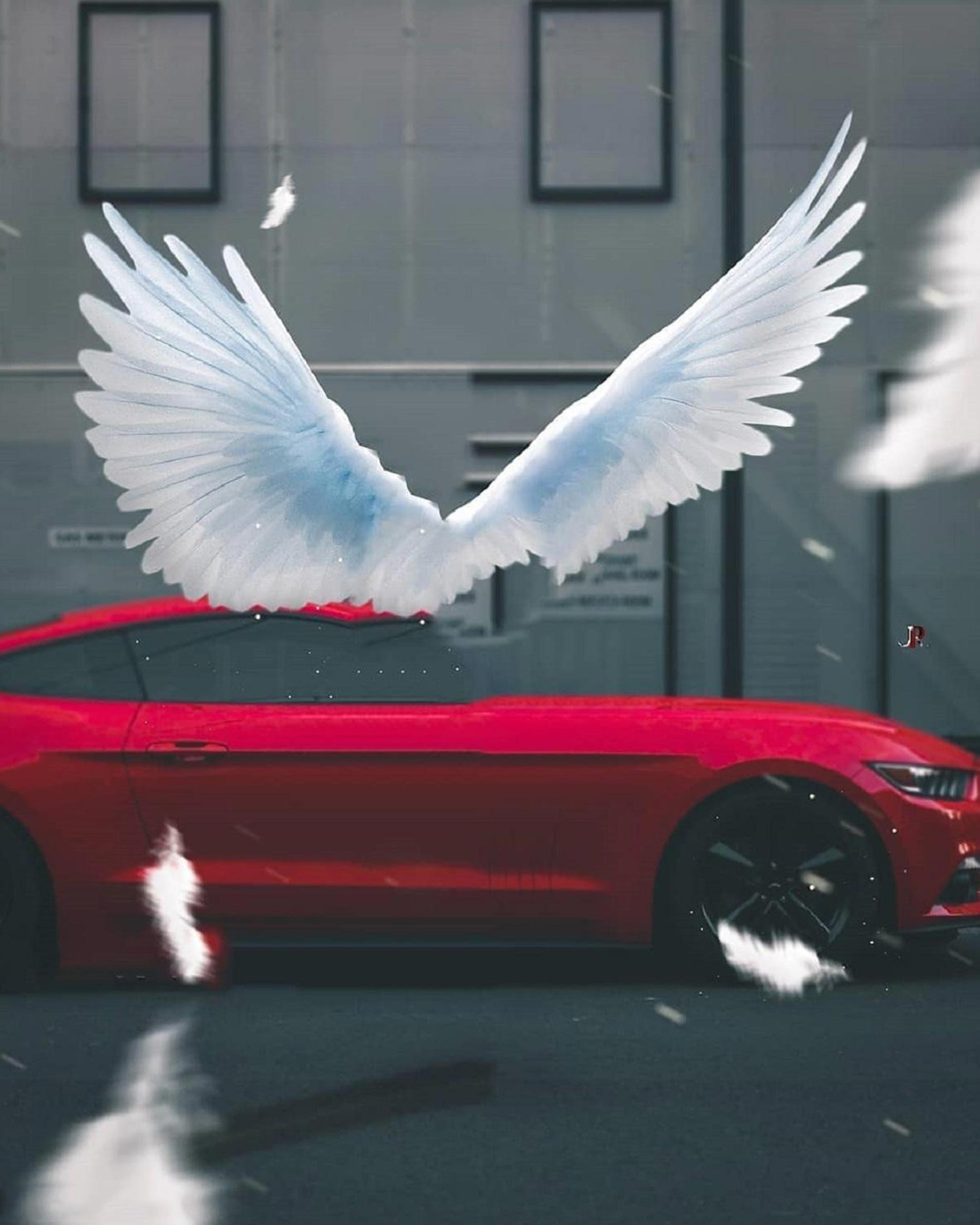 White Wing Photo Editing Background Blur Full HD