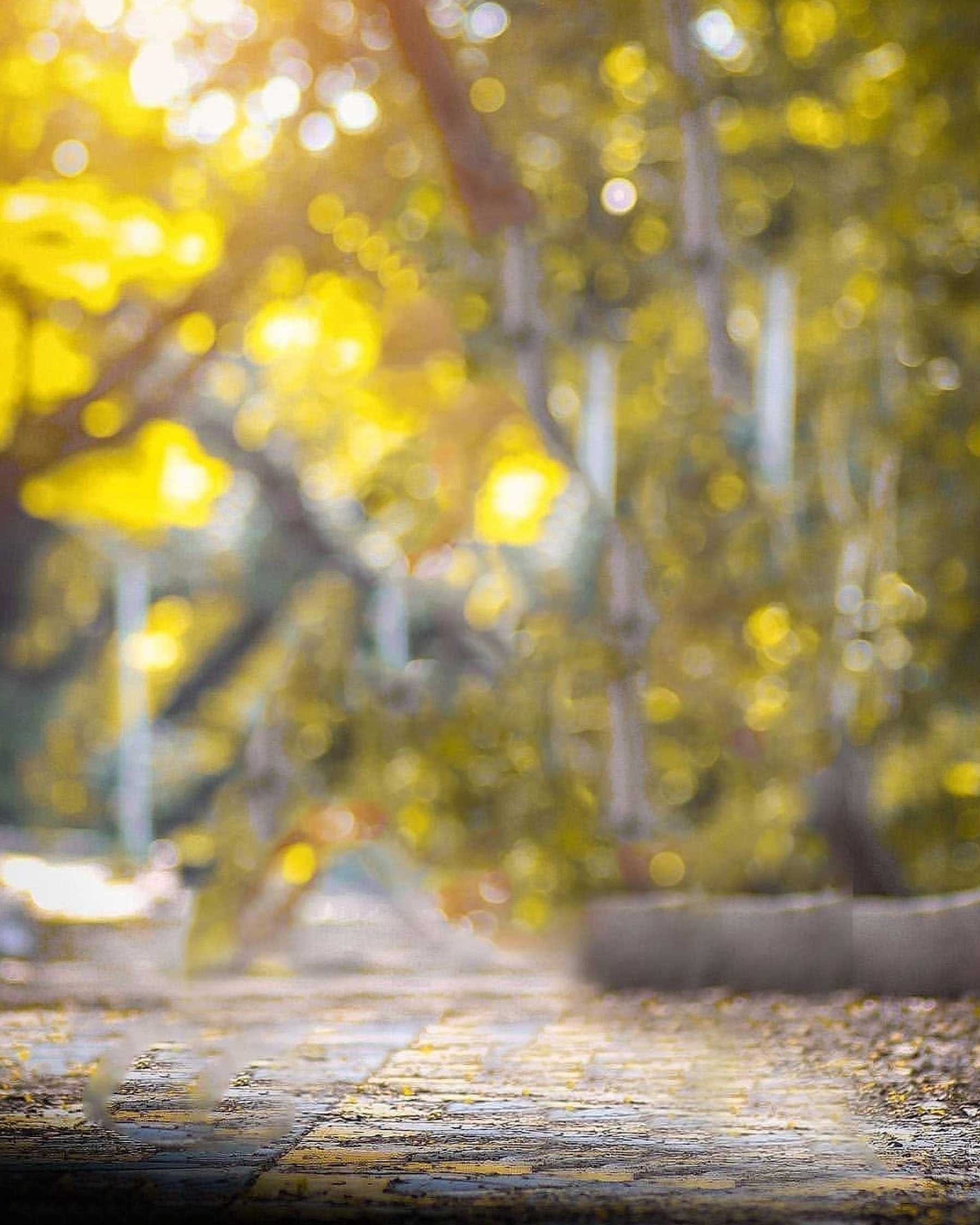 Beautiful Nature Blur PicsArt Background Free Stock Image