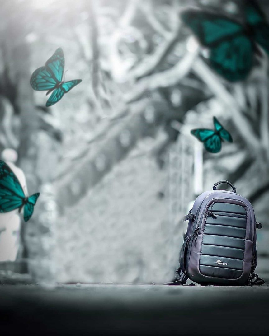 Best Butterfly Editing PicsArt Background Stock Image