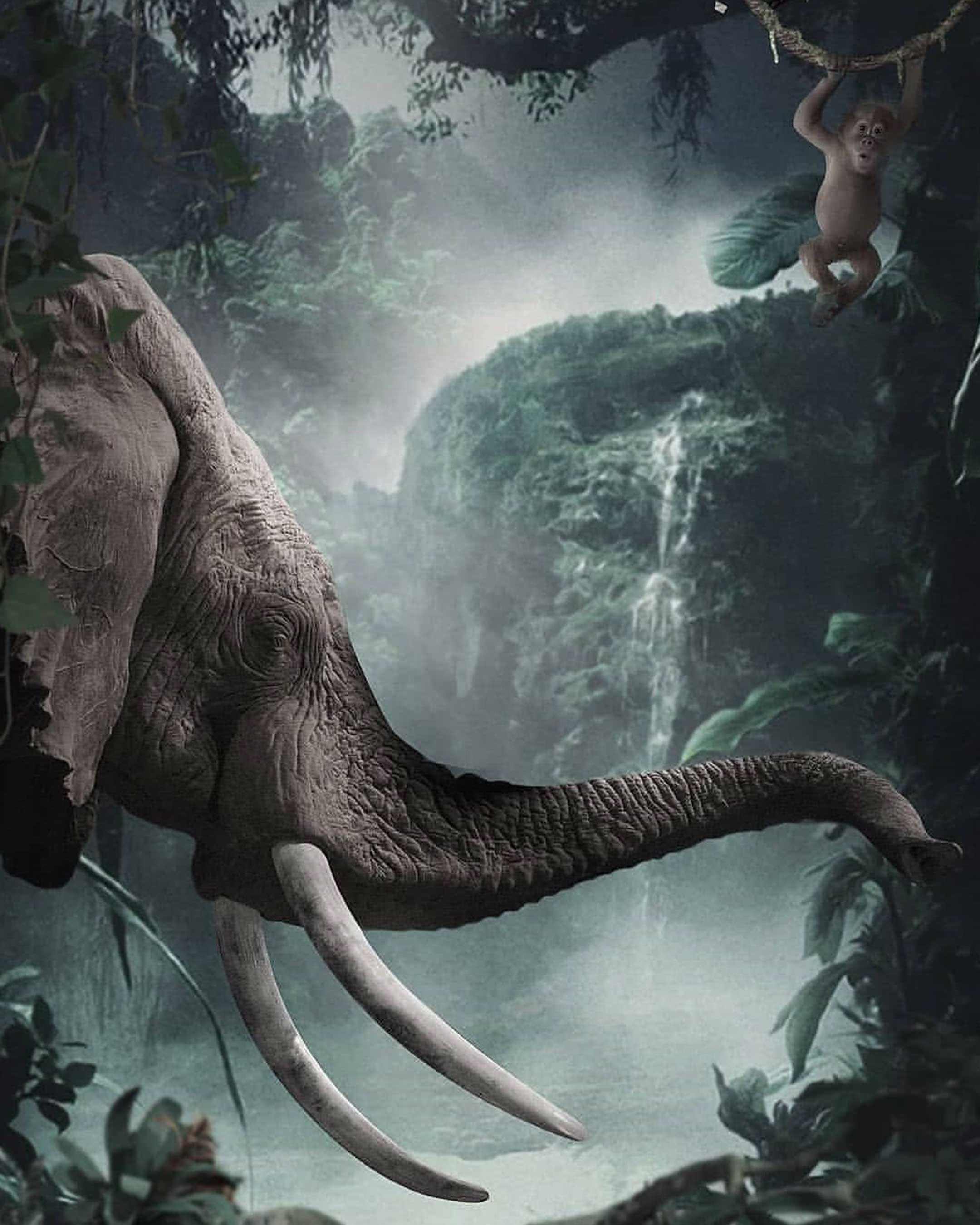 Jungle Book PicsArt Background Free Stock Image [ Download ]