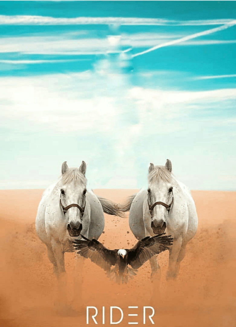 Horse's Rider PicsArt Background Free Stock Image