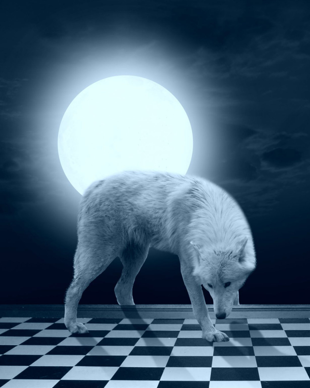 The Arctic Wolf PicsArt Background Free Stock Image