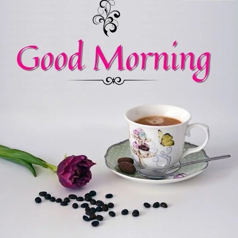 Beautiful White Good Morning Image With Pink Text