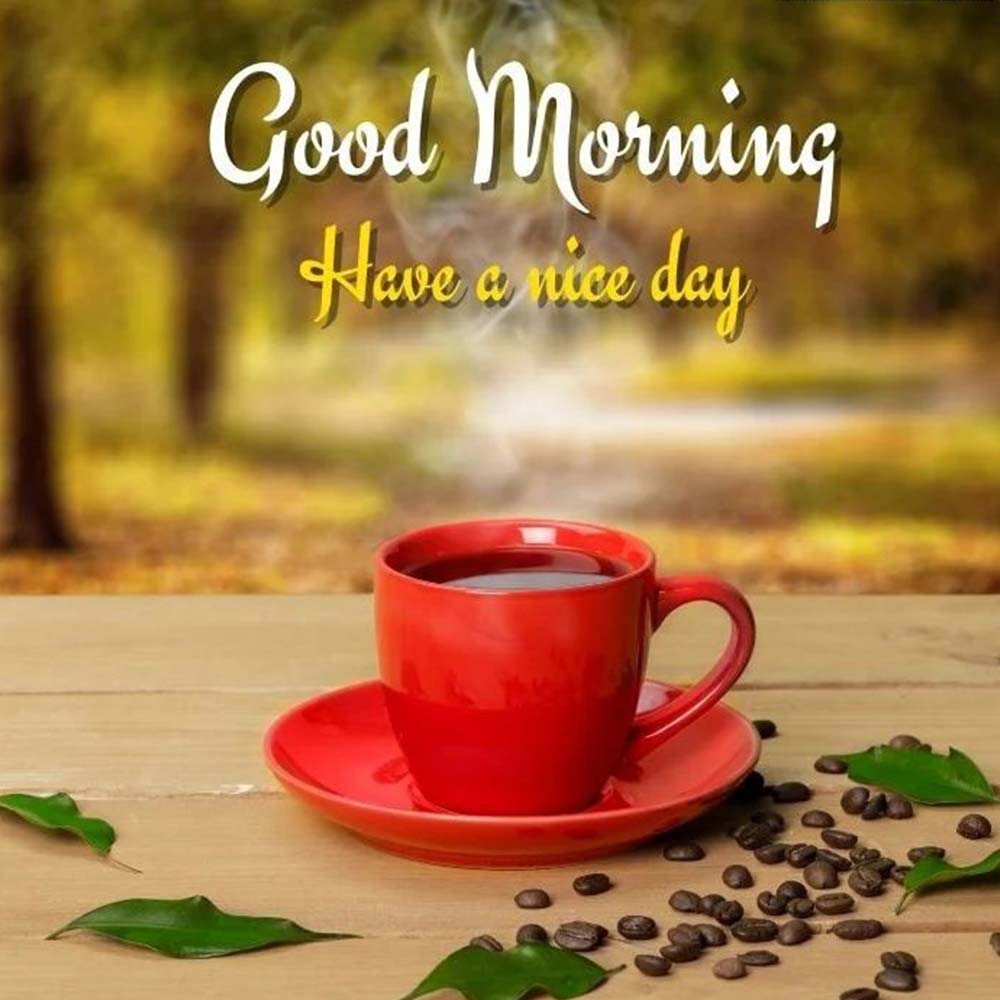 Have A Nice Day Good Morning Image With Red Tea Cup