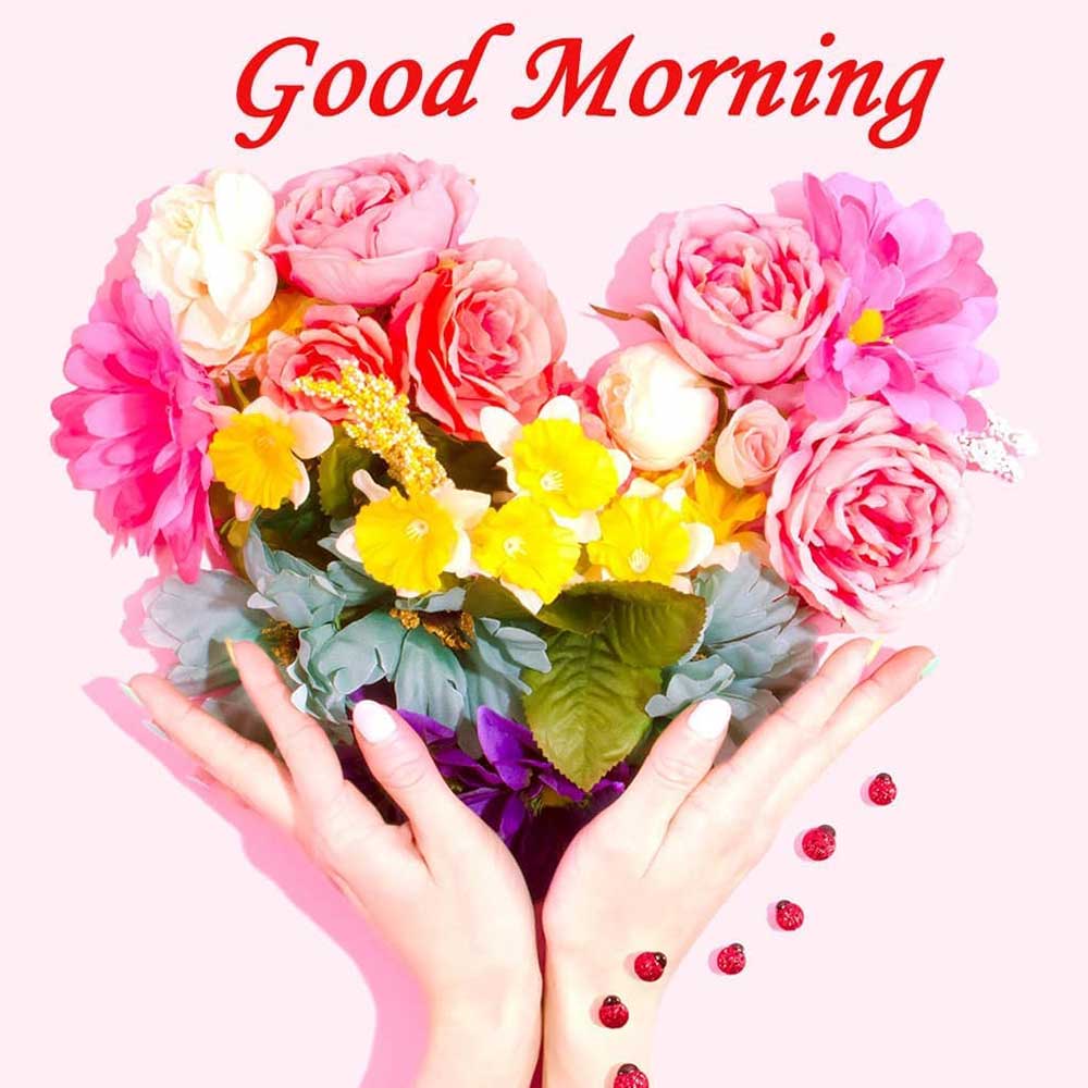 Flower Bouquet Good Morning Image For Wishing [ Download ]