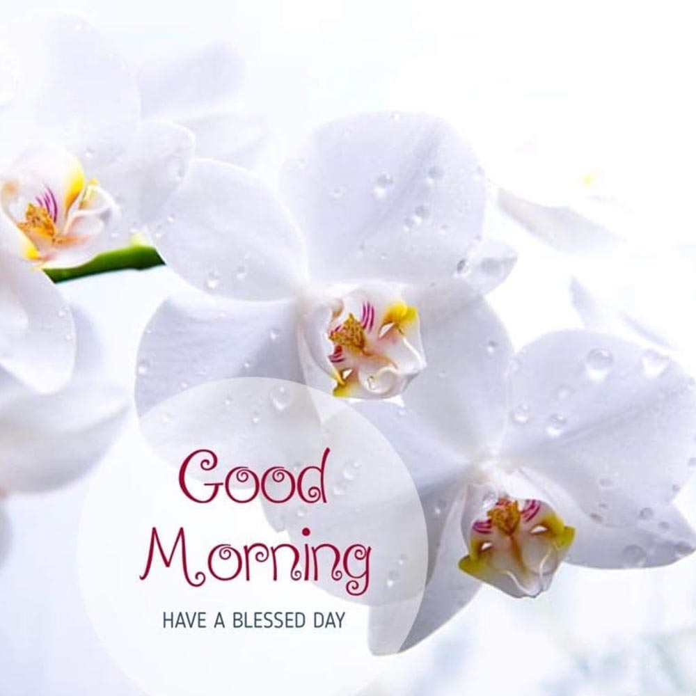 Blessed Day Good Morning Image With Beautiful Text