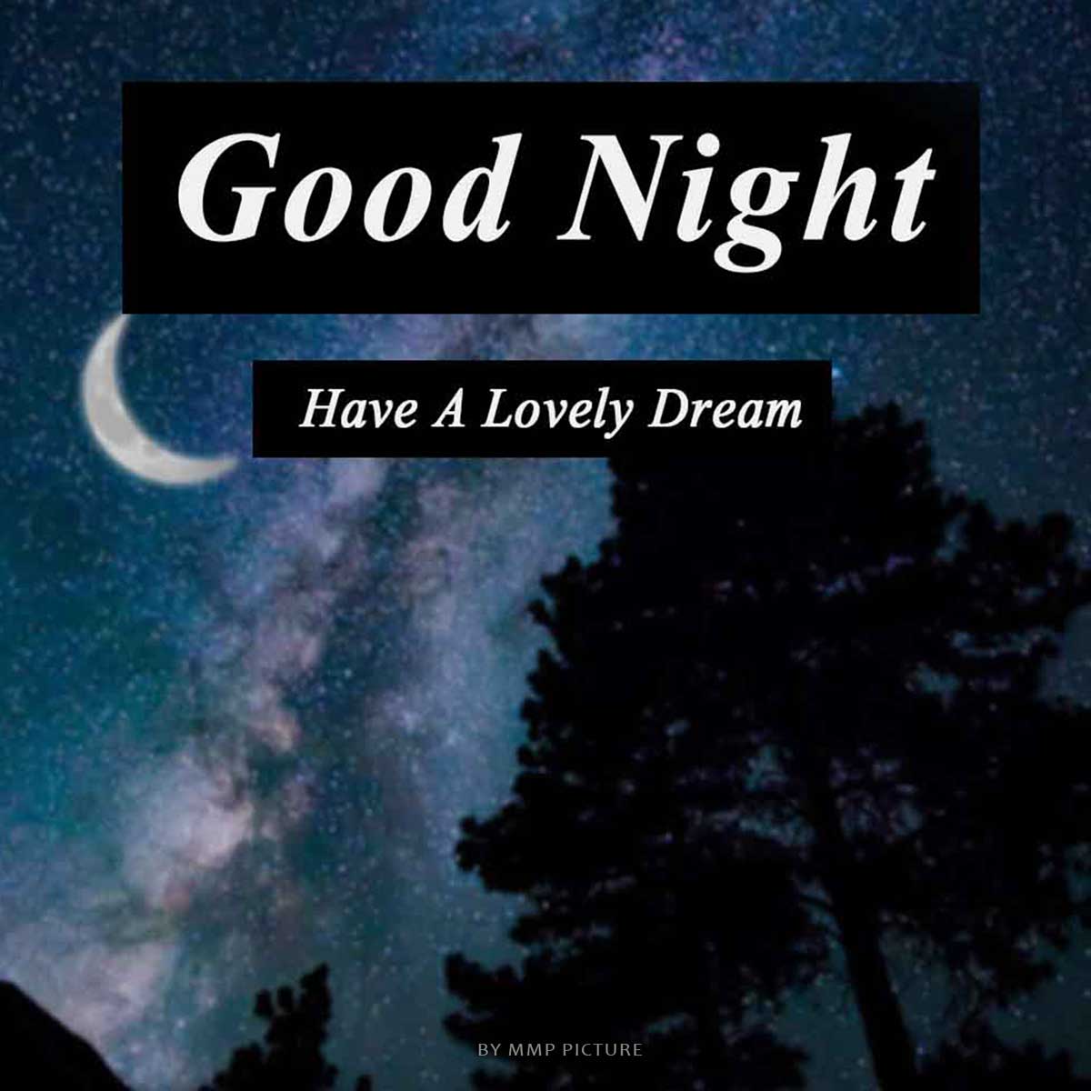 Have A Lovely Dream Good Night Image For WhatsApp