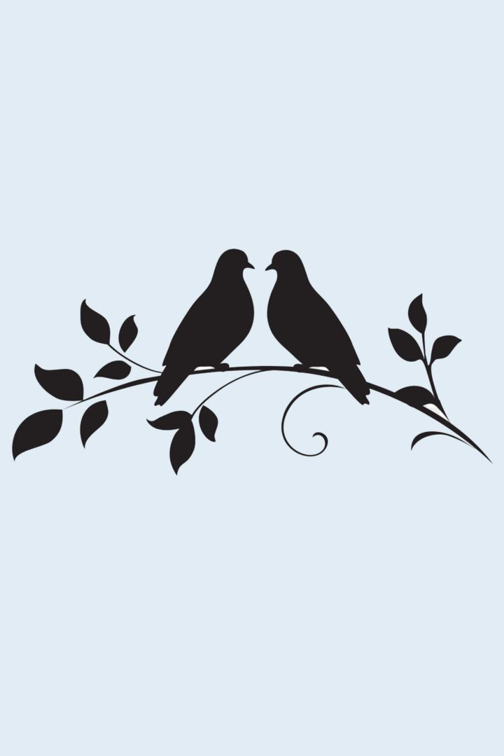 Love Bird iPhone Wallpaper 4K HD Cool Image [ Download ]